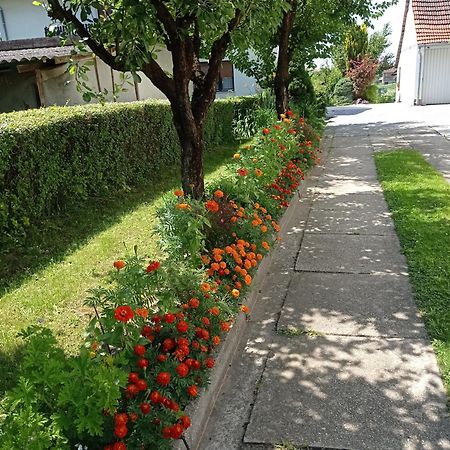 Apartman Skudar Bjelovar Exterior photo
