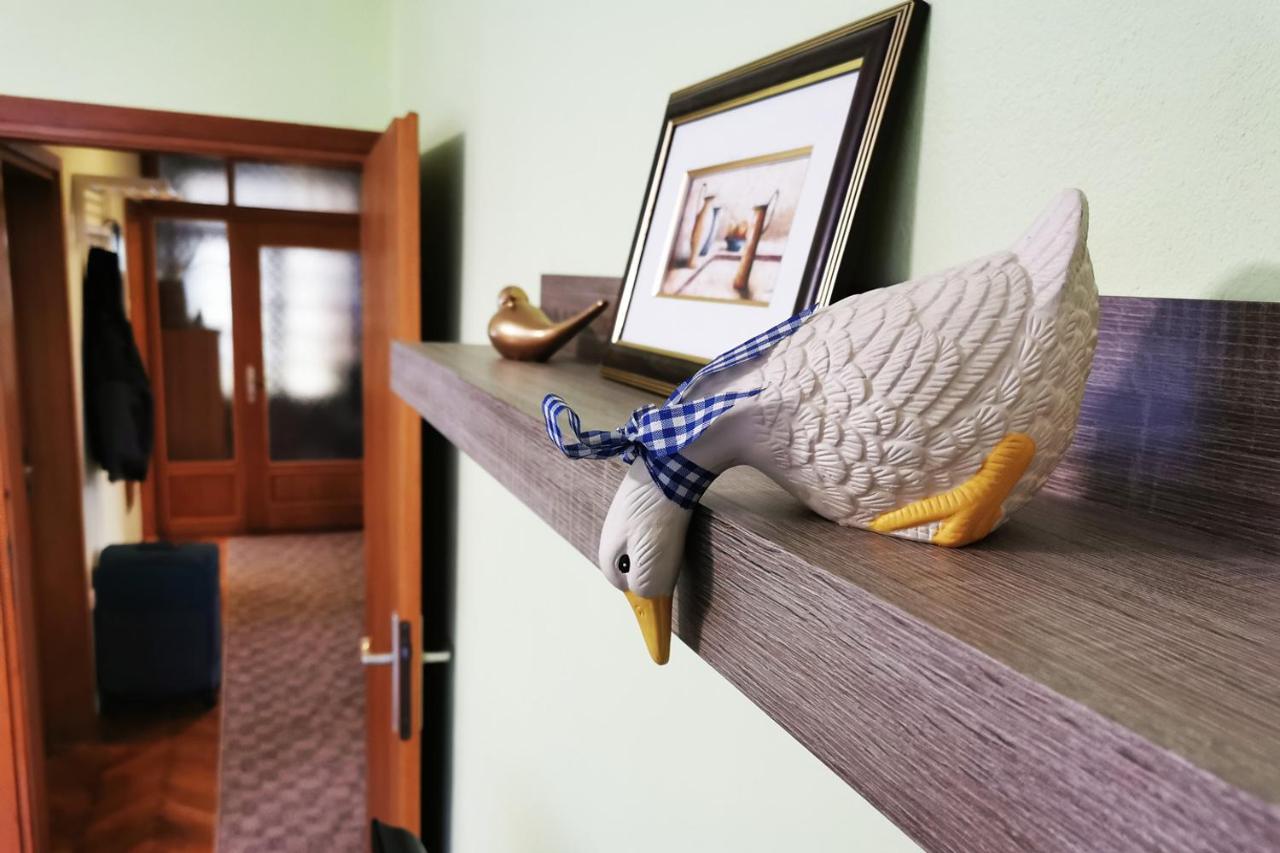 Apartman Skudar Bjelovar Exterior photo